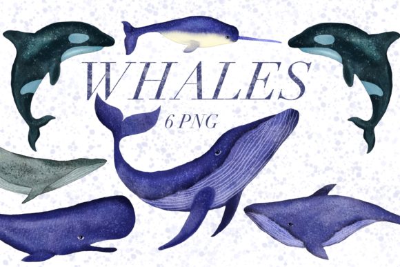 Download Watercolor Whale, Narwhal&nbsp; - Watercolor whale Collection